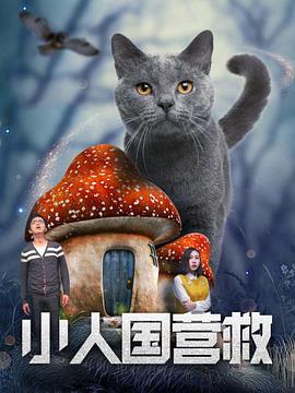 春光摄影师