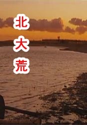 伊人久久网国产伊人