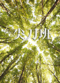 成人午夜视频免费看欧美