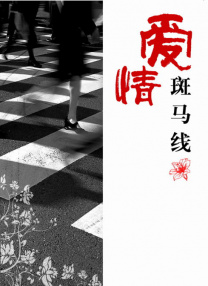 91精品国产91久久久久久三级