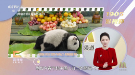 亚洲国产成人久久午夜
